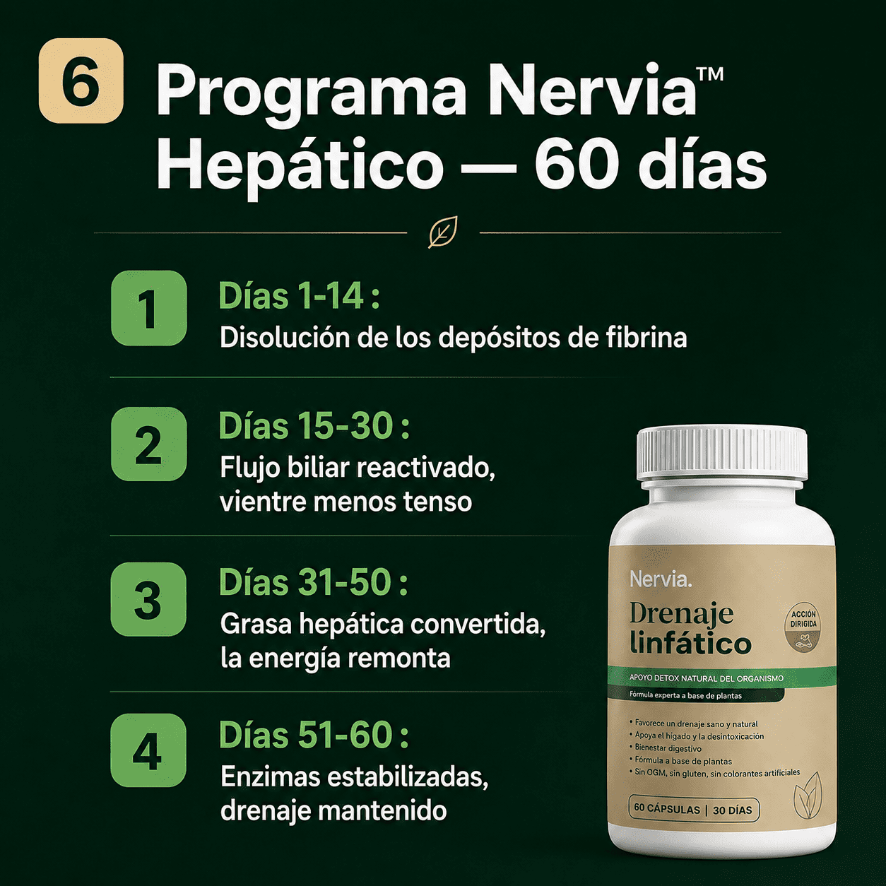 Nervia™ Drenaje Hepático — Desbloquea la red linfática de tu hígado