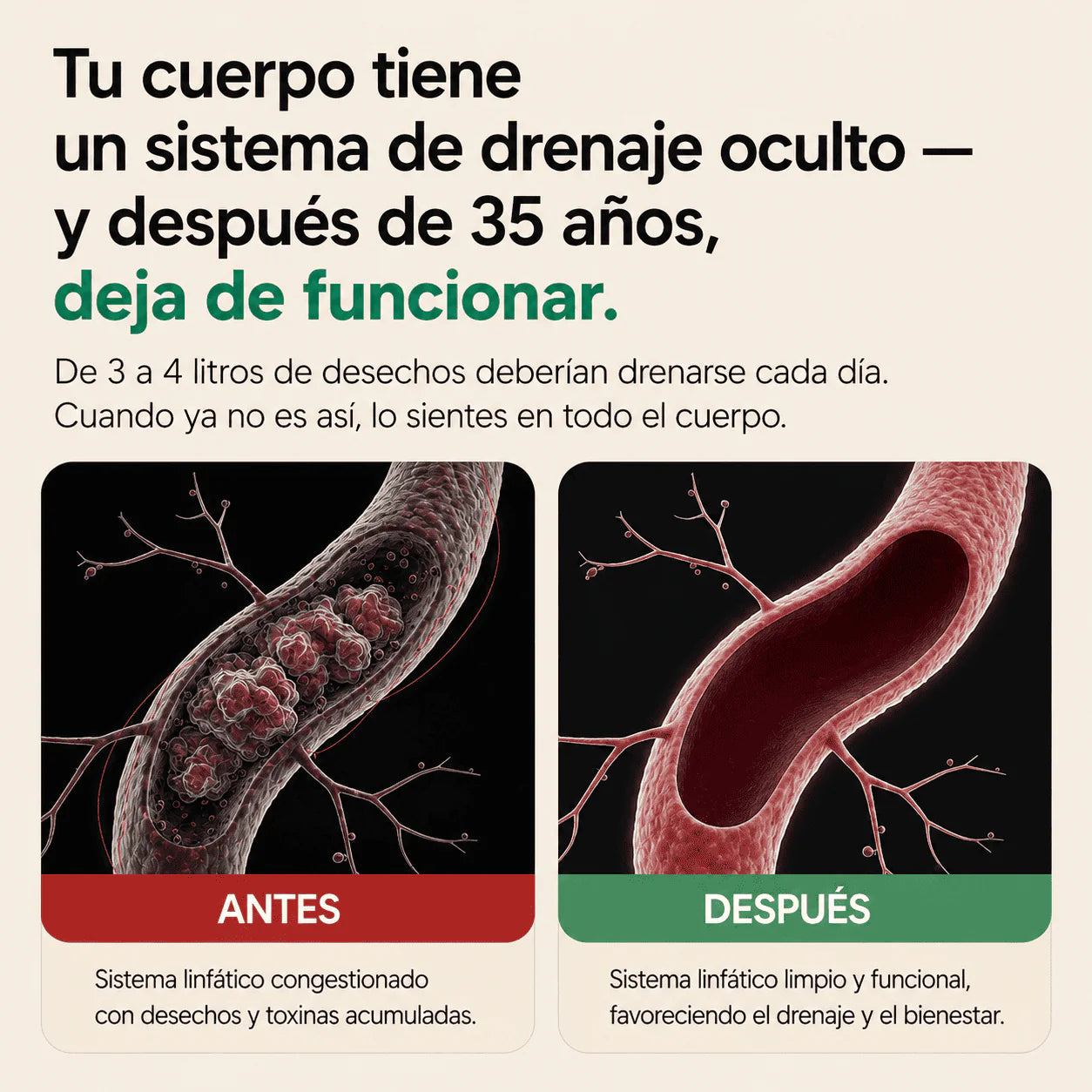 Nervia™ - Cápsulas de Drenaje Linfático - Transformación total en 60 días