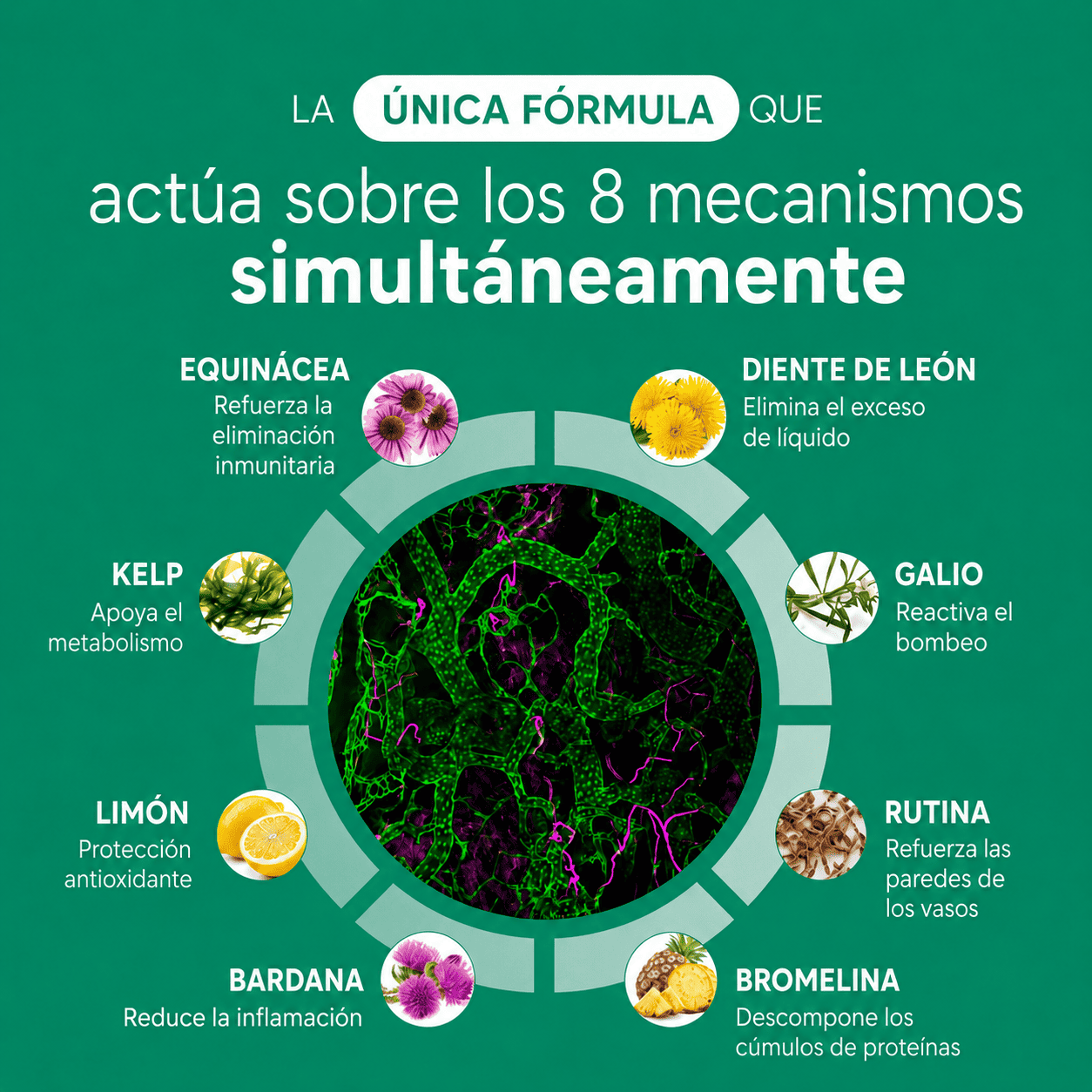 Nervia™ - Cápsulas de Drenaje Linfático - Transformación total en 60 días