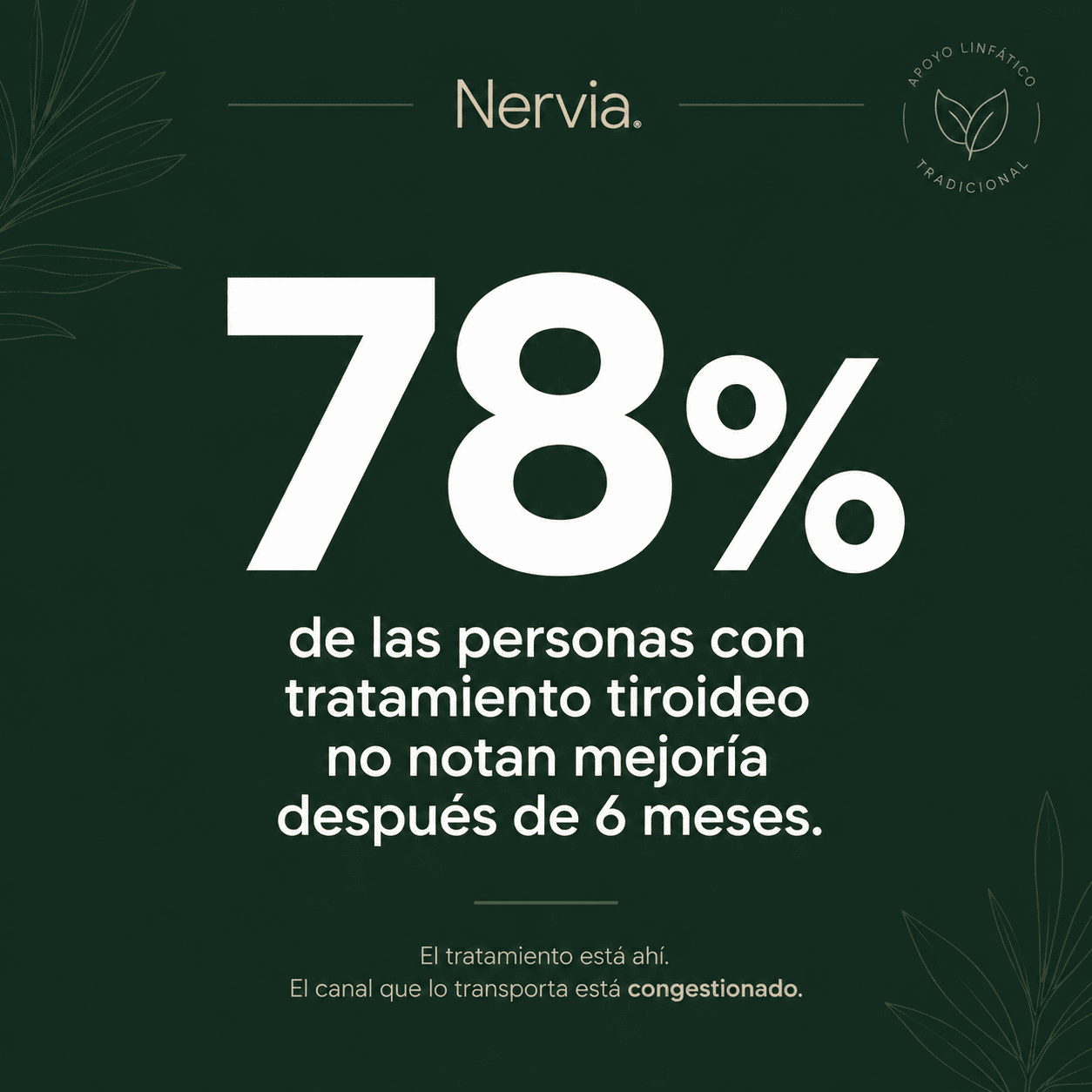Nervia™ Drenaje Tiroideo — Desbloquea la red linfática que rodea tu tiroides