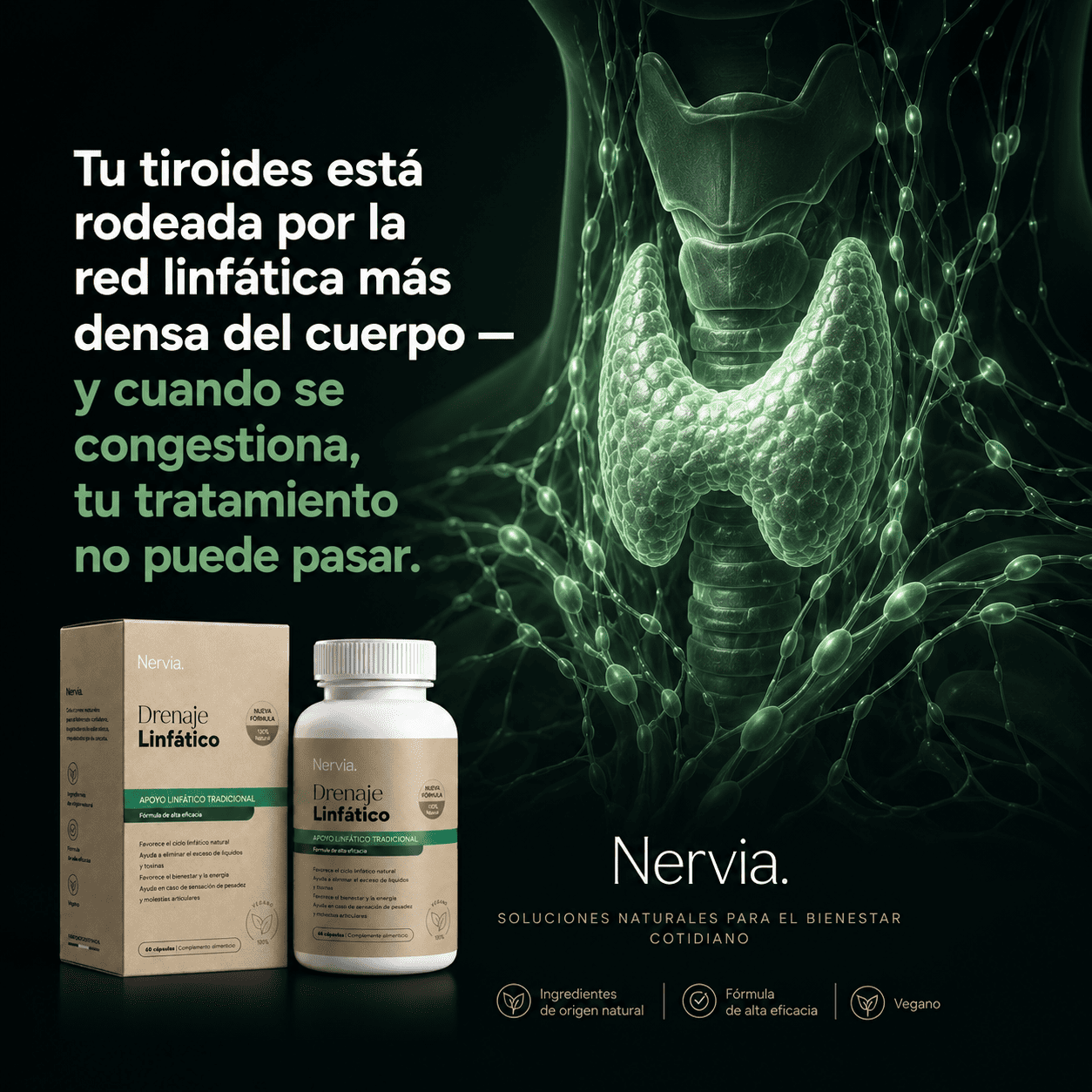 Nervia™ Drenaje Tiroideo — Desbloquea la red linfática que rodea tu tiroides