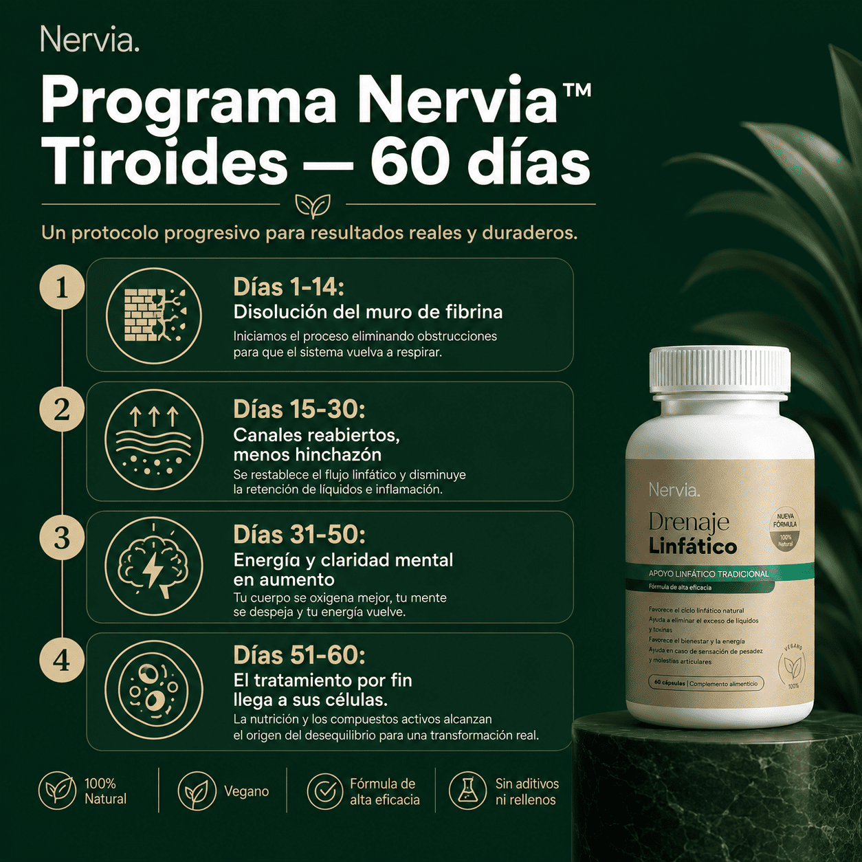 Nervia™ Drenaje Tiroideo — Desbloquea la red linfática que rodea tu tiroides