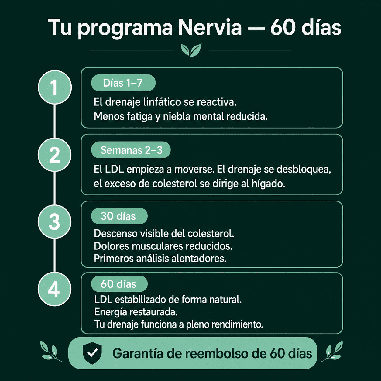 Nervia™ — Cápsulas de Drenaje Linfático · Transformación total en 60 días