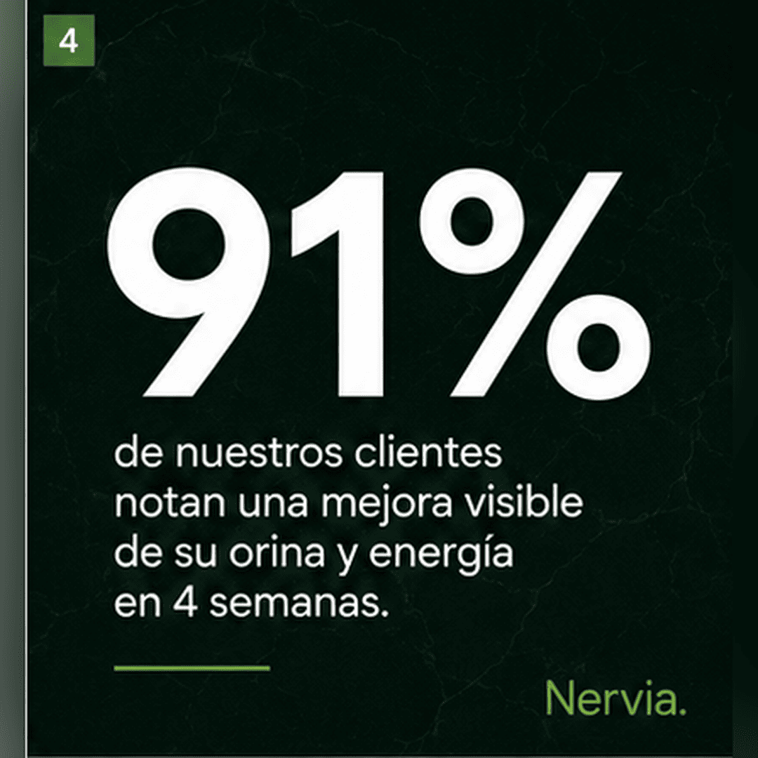 Nervia™ Drenaje Renal — Desbloquea la red linfática que rodea tus riñones
